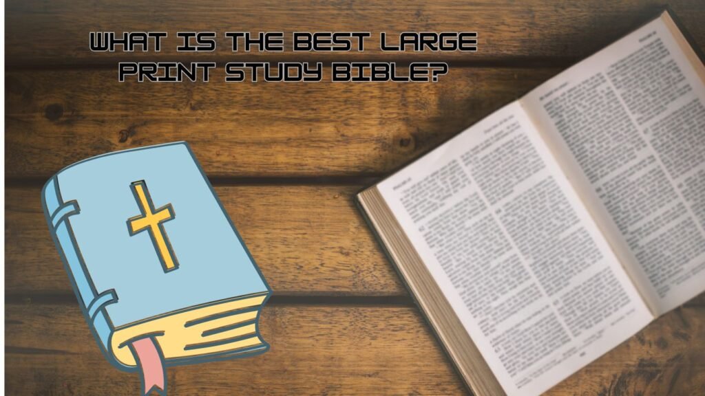 Best Large Print Study Bible