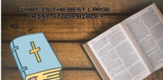 Best Large Print Study Bible