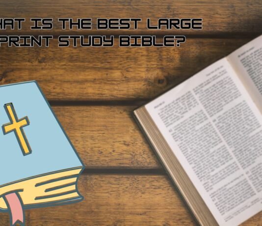 Best Large Print Study Bible