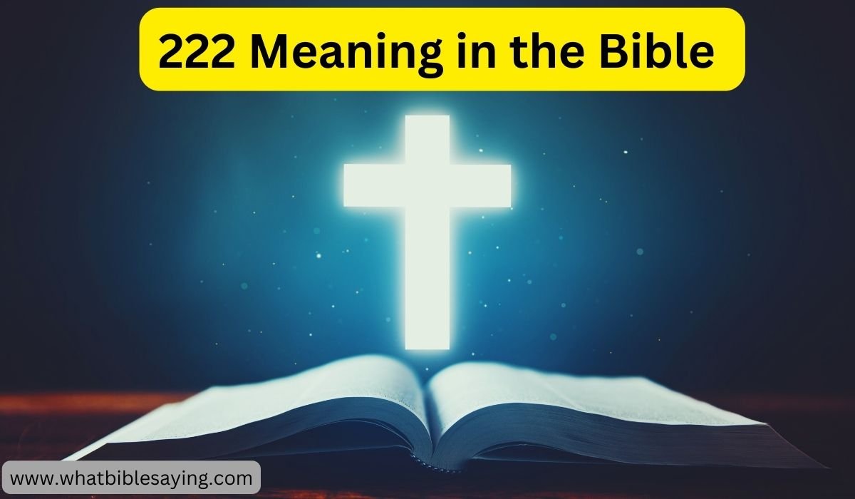 What Does 222 Mean Spiritually In The Bible 222 s Spiritual Meaning In