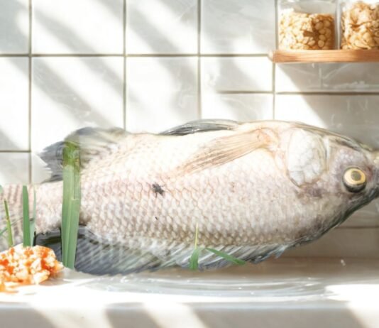 What Does the Bible Say About Fish Dying and Prophecies?