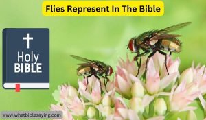What Do Flies Represent In The Bible: Symbolism & Meaning
