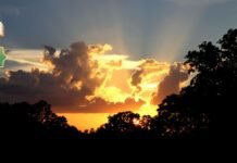 How does the Bible describe godly men?