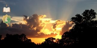 How does the Bible describe godly men?