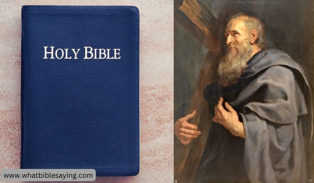 How Many Philips In The Bible