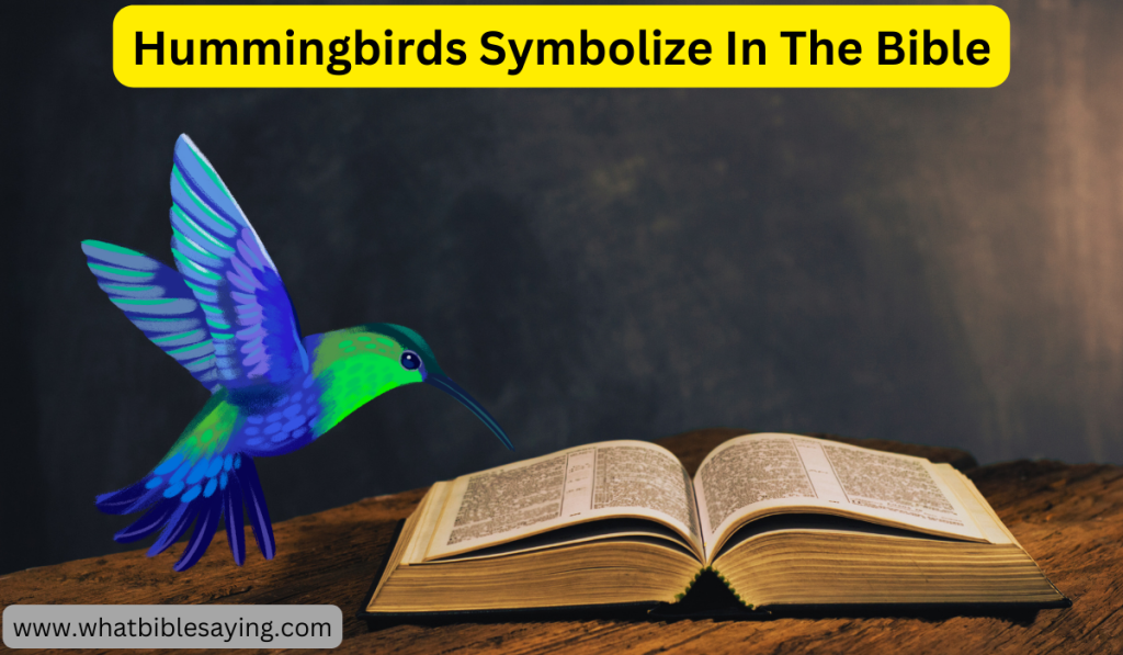 What Do Hummingbirds Symbolize In The Bible