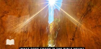 What does the Bible say about Chasm?