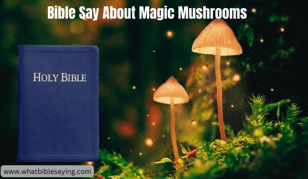 What Does The Bible Say About Magic Mushrooms