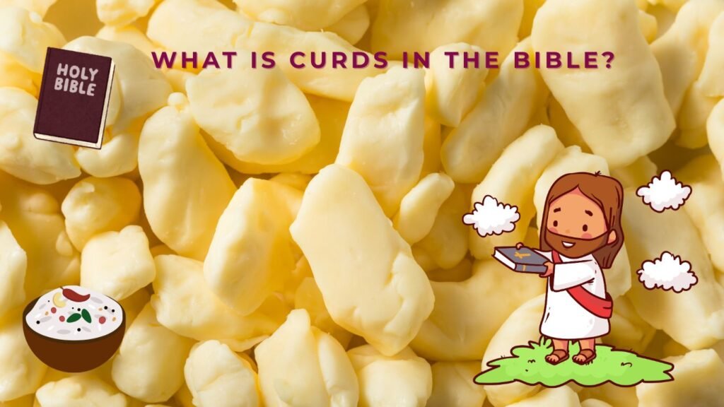 What are curds in the Bible?