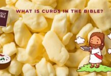What Is Curds in the Bible? Exploring Meaning, Symbolism, and References What are curds in the Bible?