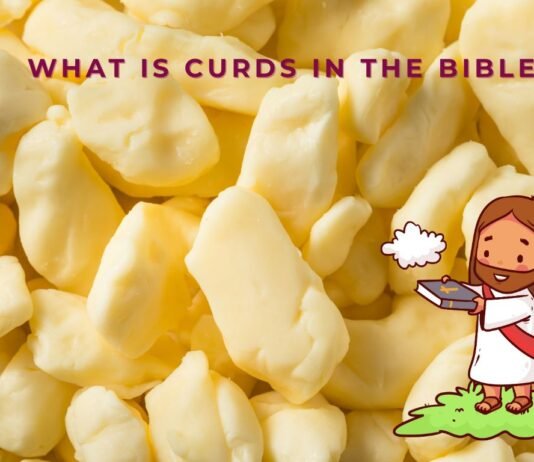 What are curds in the Bible?