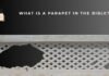 What Is a Parapet in the Bible? Meaning, Purpose, Significance What Is a Parapet in the Bible