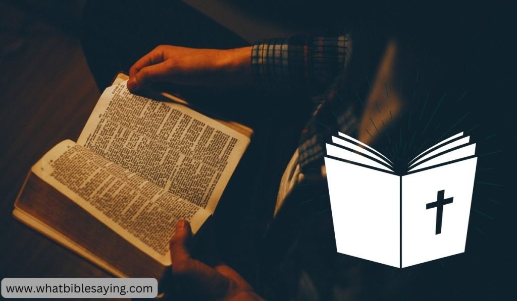 What Type Of Book Is The Bible