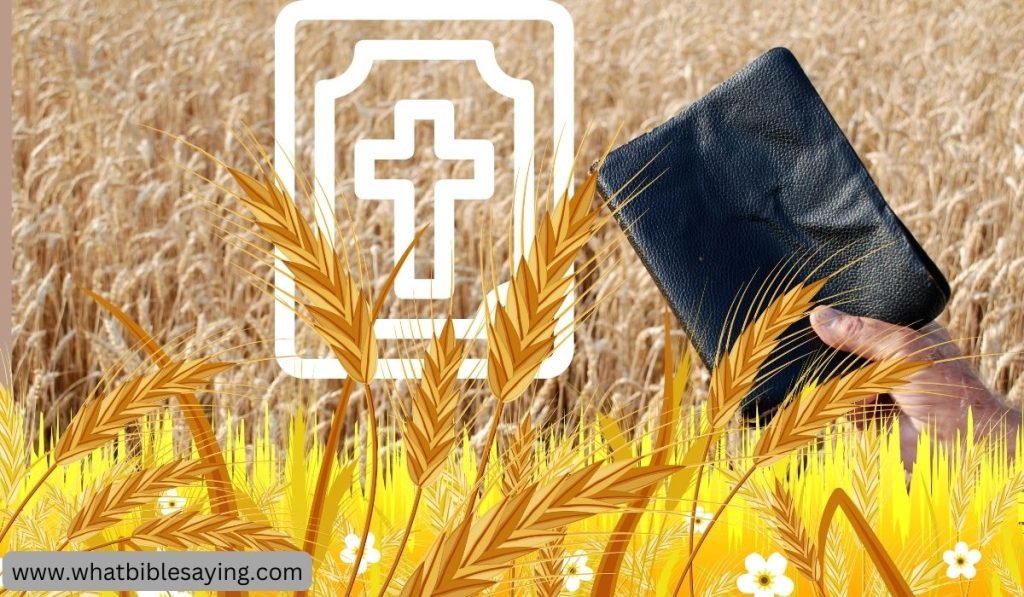 Who Are The Harvesters In The Bible