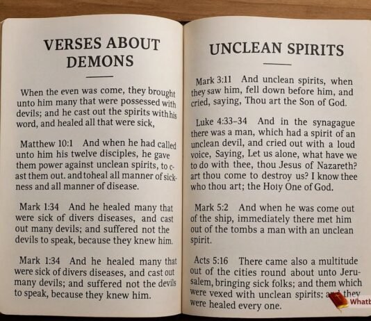 Where In The Bible Does It Talk About Demons KJV