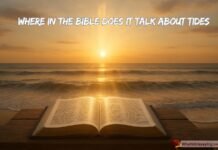 Where In The Bible Does It Talk About Tides and Tithes Where In The Bible Does It Talk About Tides