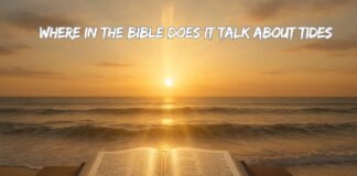 Where In The Bible Does It Talk About Tides