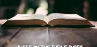 Where In The Bible Does Jacob Wrestle With God