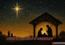 Where In The Bible Is Christmas? (The Real Story Behind the Holiday) Where Is Christmas in the Bible? The Truth You May Not Know