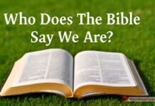 Who Does The Bible Say We Are? Exploring Our True Identity Bible Open on Grass with "Who Does The Bible Say We Are