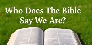Bible Open on Grass with "Who Does The Bible Say We Are
