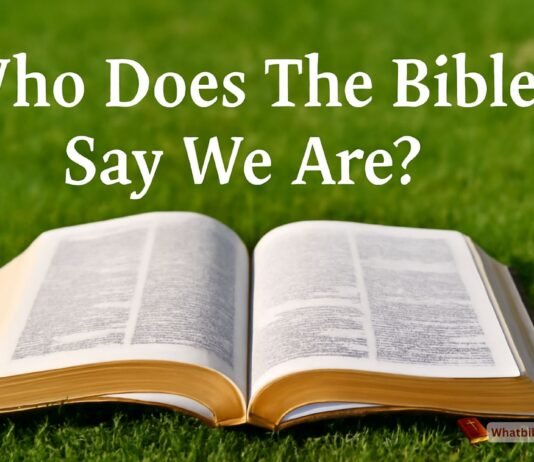 Bible Open on Grass with "Who Does The Bible Say We Are