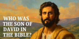 Who Was the Son of David in the Bible