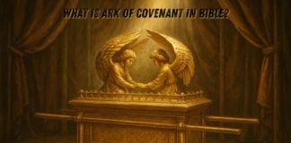 The Ark of the Covenant in the Bible with golden cherubim