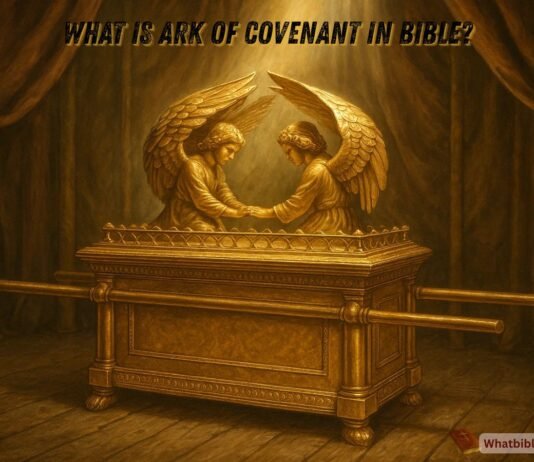 The Ark of the Covenant in the Bible with golden cherubim