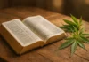 What Does The Bible Say About Marijuana and Sobriety Bible verses about marijuana and Christian faith on sobriety