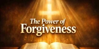 What does the Bible say about forgiving someone who hurt you