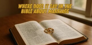 Open Bible with wedding rings and soft light showing marriage verses