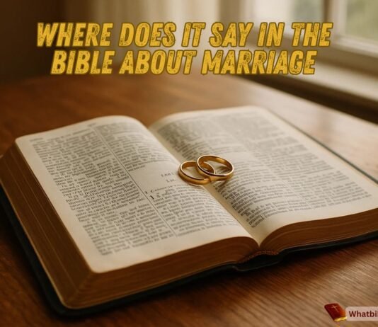 Open Bible with wedding rings and soft light showing marriage verses
