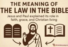 What Is The Law In Bible? Meaning, Jesus & Paul Understanding the meaning of the Law in the Bible and its role today