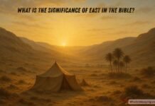 What Is The Significance Of East In The Bible? Biblical meaning and symbolism of the east direction in Scripture