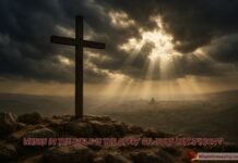 Where In The Bible Is The Story Of Jesus Crucifixion? Bible verses and Gospel chapters showing where the story of Jesus’ crucifixion is found