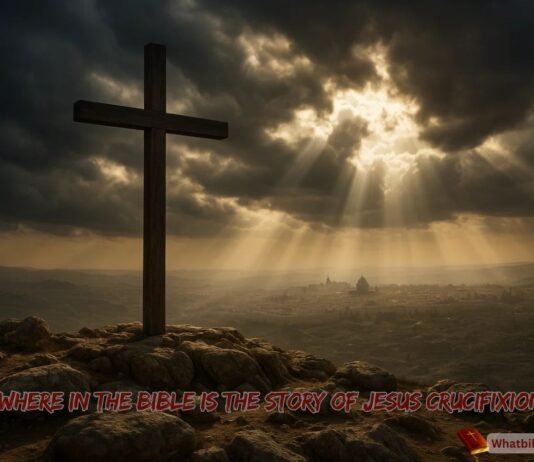 Where In The Bible Is The Story Of Jesus Crucifixion? Bible verses and Gospel chapters showing where the story of Jesus’ crucifixion is found
