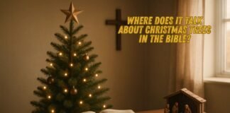 Biblical meaning of Christmas trees with Jeremiah 10 verse discussion