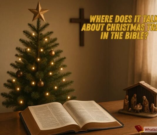 Where Does It Talk About Christmas Trees In The Bible? Biblical meaning of Christmas trees with Jeremiah 10 verse discussion