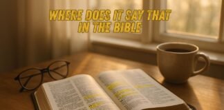 Open Bible with verse highlights and soft morning light through window