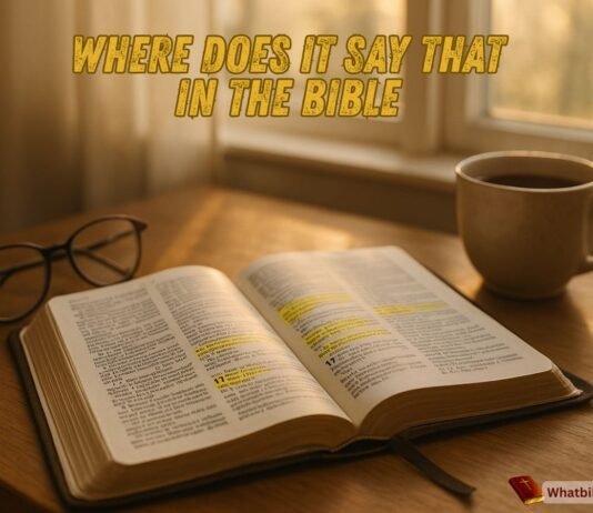 Open Bible with verse highlights and soft morning light through window