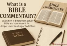 What Is Bible Commentary? Meaning, Uses & Best Guide Open Bible with handwritten notes and commentary beside it