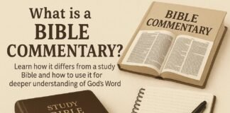 Open Bible with handwritten notes and commentary beside it