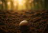 What Does The Bible Say About Planting A Seed Planting a seed biblical meaning with hands sowing into soil under light