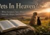 What does the Bible say about pets in heaven scene