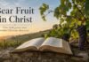 What Does Bear Fruit in the Bible Mean? A Simple Biblical Guide What does bear fruit in the Bible mean shown with vine and Bible