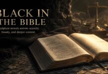 What Does Black Symbolize In The Bible? Meaning and Key Verses What Does Black Symbolize In The Bible with light over Scripture