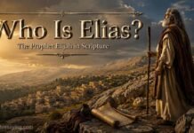 Who Is Elias In The Bible? The Prophet Elijah’s Story Explained Who Is Elias In The Bible and prophet Elijah