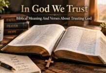In God We Trust Bible Verse Meaning and Biblical Origins Open Bible showing verses about trusting God
