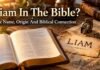 What Does Liam Mean In The Bible? Is Liam a Biblical Name? What does Liam mean in the Bible name study